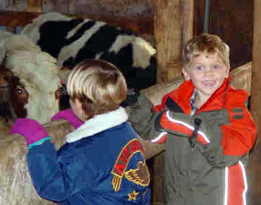 Kids and Cows