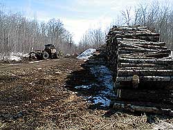 Logging and equipment March 2001