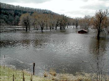 The Flooded St Croix at Osceola, Wisconsin.