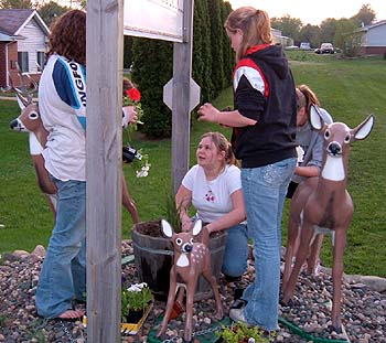 Flower pot maintenance