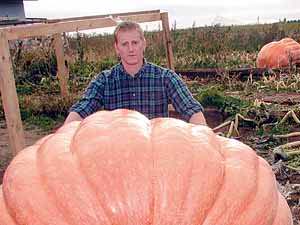 Joe Ailts Pumpkin